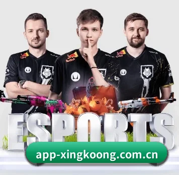 国际化进程 - xingkong