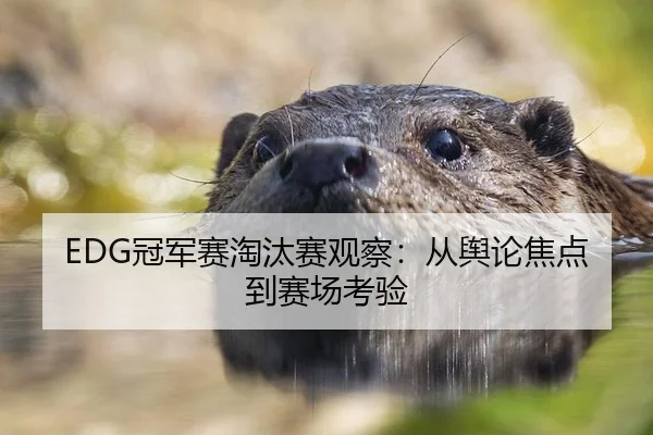 EDG冠军赛淘汰赛观察：从舆论焦点到赛场考验（xingkong）
